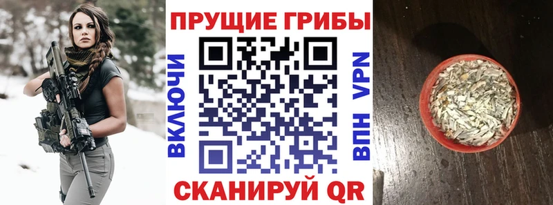 Псилоцибиновые грибы Cubensis  Барабинск 
